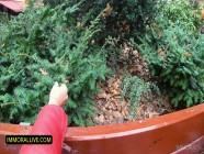 CLEVER STEPSISTER GETS EXCATLY WHAT SHE WANTS - Anal Creampie Loving Teen Huge Cock Balls Deep POV | PORR.XXX