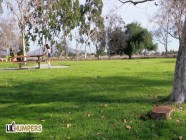 Lil humpers - Big-titted Milf, Lauren Phillips takes two out of control humper home | PORR.XXX