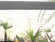 hot and mean - abella danger payton preslee - sex tape | PORR.XXX