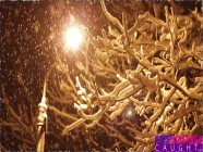 Step Sis I've been nice, but I think I'm going to get a little naughty S1:E4 | PORR.XXX