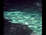 Hot Blonde 80s Pornstar Christina Angel Fucked Poolside | PORR.XXX