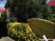 Having sex on the beach by SouthernSins | PORR.XXX