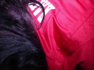 Nasty ass ramming for the greedy Milf Gilf sports babe | PORR.XXX