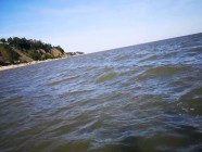 Public humiliation of slut on the beach. Made to undress and drink urine | PORR.XXX