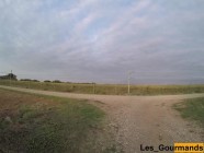 I empty the balls in my blue thong outdoors | PORR.XXX