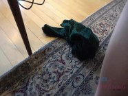 Isabel Moon Licks Her Cum Off Your Fingers | PORR.XXX