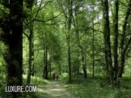 Anissa Kate and Claire Castel dominated by two men | PORR.XXX