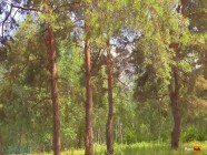 Dont cum inside me...please! | PORR.XXX