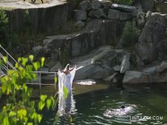 Broken Wedding Vows | PORR.XXX