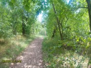 Dad & His Son Spy on Horny Sunbather - Big Booty Teen Gets Tag Teamed - Mia Rose Part 1 of 3 | PORR.XXX