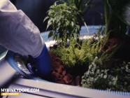 Sex on Mars Colony 2077 - MyKinkyDope | PORR.XXX